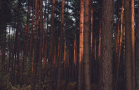 加拿大留学申请重点介绍