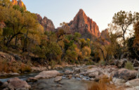 美国波士顿都有哪些著名大学？