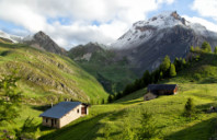 美国芝加哥地区都有哪些大学？