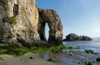 留学美国北卡罗来纳州立大学如何？