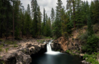 留学美国纽约院校介绍