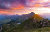 留学美国波士顿院校介绍(下)