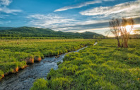 留学美国莱斯大学研究生需要哪些条件?(上)