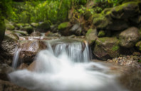 留学美国斯坦福大学研究生申请条件介绍