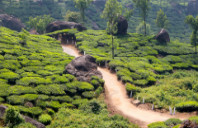 留学美国斯坦福大学都有哪些优势？