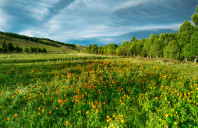 留学美国南加州大学硕士介绍（上）