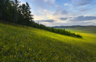 留学美国南加州大学硕士介绍（下）