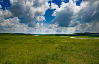 留学美国哈佛大学商学院条件介绍（上）
