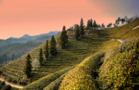 留学美国哈佛大学商学院条件介绍（下）