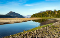 本科转学美国留学需要哪些条件？