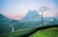 美国宾夕法尼亚大学本科转学要求