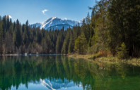 留学美国耶鲁大学艺术院校介绍（上）