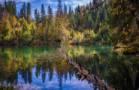 留学美国耶鲁大学艺术院校介绍（下）