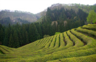 留学美国华盛顿大学优秀研究生专业介绍