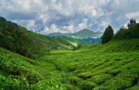 留学美国硕士需要满足哪些条件?(上)