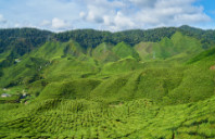 留学美国硕士需要满足哪些条件?(下)