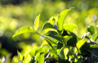 留学美国西北大学申请条件介绍（上）