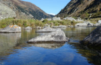 留学美国本科需要满足哪些条件？