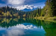 留学美国东北大学优势专业介绍