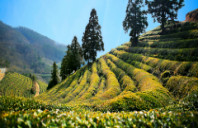 留学美国波士顿读研需要哪些条件?