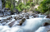 留学美国波士顿大学优势专业介绍