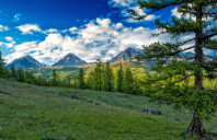 留学美国乔治城大学硕士需要几年?