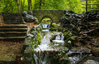 留学美国乔治城大学开设哪些专业？