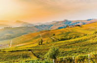 留学美国本科都有哪些申请要求？