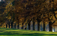 留学美国加州理工学院申请条件介绍