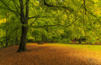 留学美国芝加哥大学申请条件及费用介绍