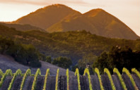 留学美国宾夕法尼亚硕士介绍