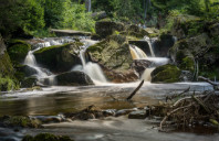 留学美国西北大学需要满足哪些条件？（下）
