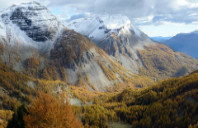 留学美国纽约大学申请条件及费用介绍（上）