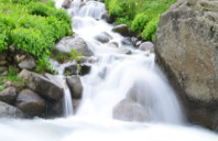 留学美国华盛顿大学留学申请