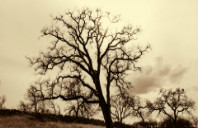 留学美国俄亥俄州立大学都有哪些优秀专业？