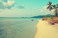 留学莫纳什大学都有哪些优势和特色？