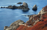 留学麦考瑞大学都有哪些强势专业？