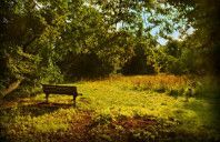 留学澳洲都有哪些省钱方法?(上)