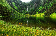 新西兰都有哪些优质大学？