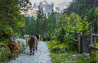 留学新西兰奥克兰大学工科专业介绍