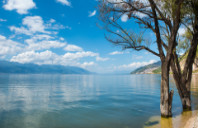 留学新西兰文科专业介绍