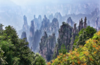 新西兰都有哪些热门的留学专业？