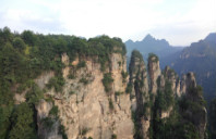 新西兰留学都有哪些政策上的好处？