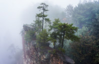 留学新西兰有哪些热门专业可以选择？（上）