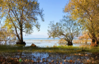 留学新西兰有哪些热门专业可以选择？（下）