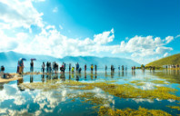 新西兰留学热门专业及院校有哪些？（上）