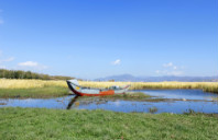 新西兰留学热门专业及院校有哪些？（下）