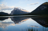 留学新西兰医学专业如何？