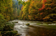 留学奥克兰大学都有哪些优势专业？