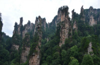 留学奥克兰大学有哪些热门专业？（下）